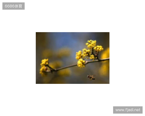 布达佩斯Major第一阶段:战舰轰鸣!FaZe 2-1 RED Canids